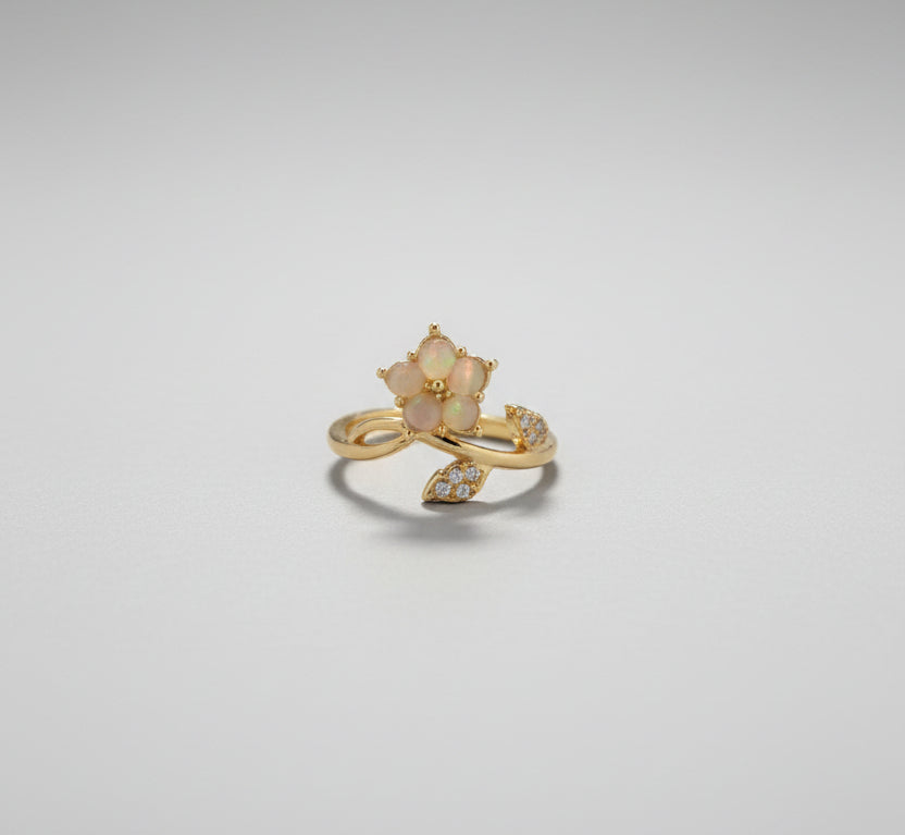 Adjustable Rings